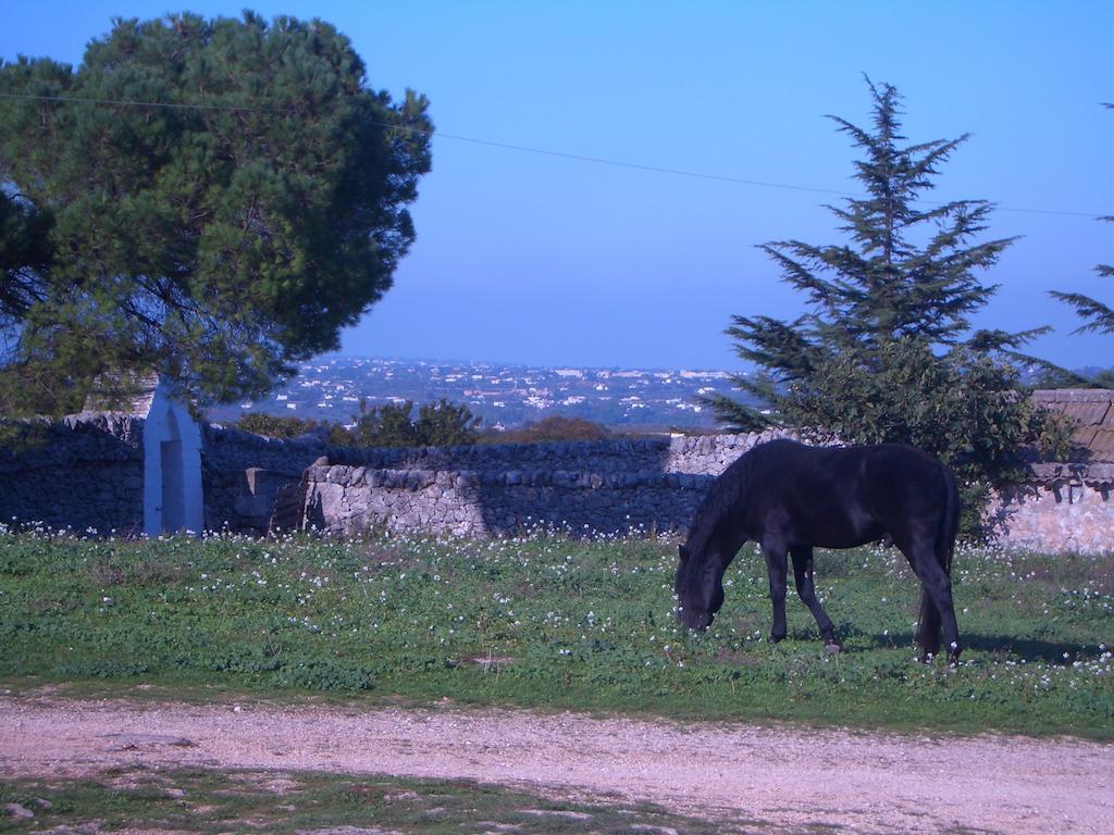 Masseria Pozzo Tre Pile Séjour à la ferme *