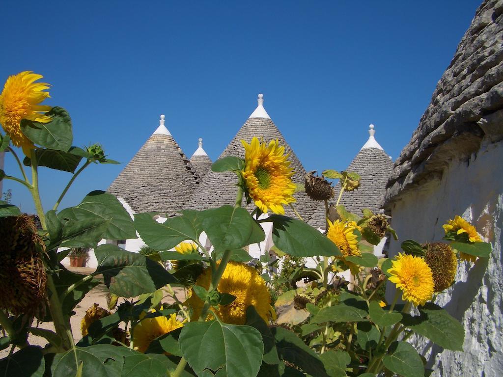 Masseria Pozzo Tre Pile Martina Franca